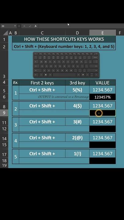 Excel Basics