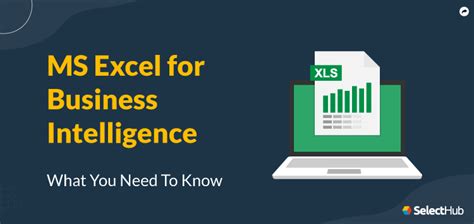 Excel Business Intelligence