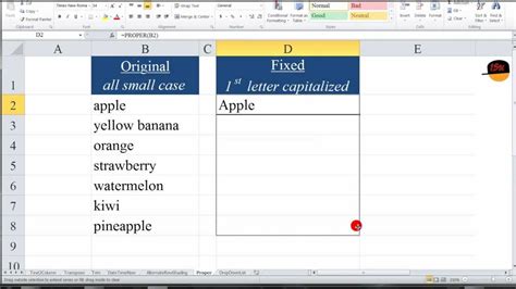 Excel Macro for Capitalization Example