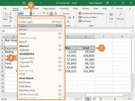 Formatting text in cell value