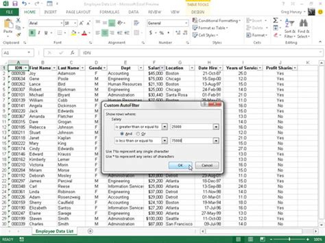 Excel Custom Filter