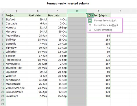 Excel Column Format