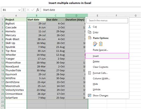 Excel Column Insertion 2