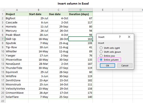 Excel column insertion example 2