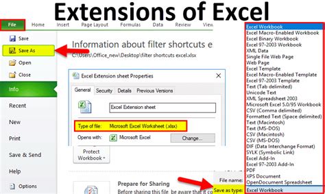 Compatible File Formats in Excel