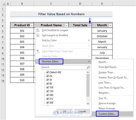 Excel Custom Filter with Multiple Conditions