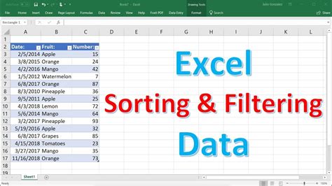 Excel Data Analysis and Filtering