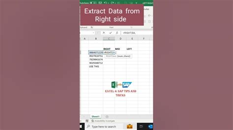 Excel Data Extraction