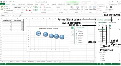 Excel Data Labels Formatting