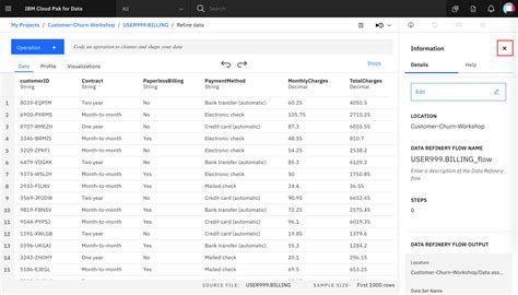 Excel Data Refining for Counting Duplicates