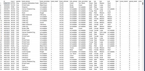 Excel Database Backup