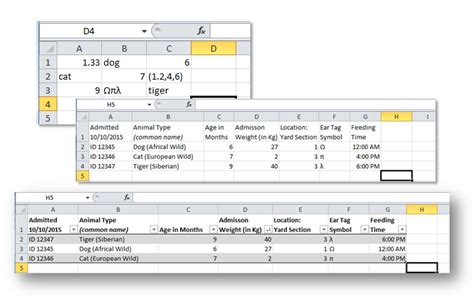 Excel Database Structure