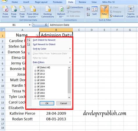 Excel Date Filter