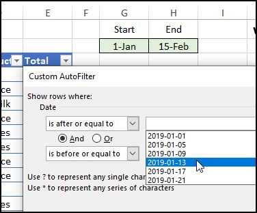 Excel Date Range Filter