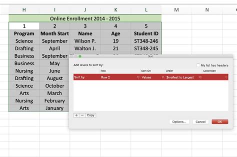 Excel Date Sorting Example 1