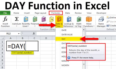 Excel DAY Function Example