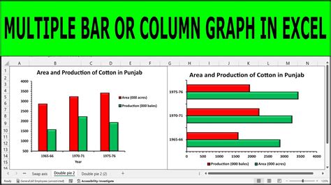 Excel Double Column Chart