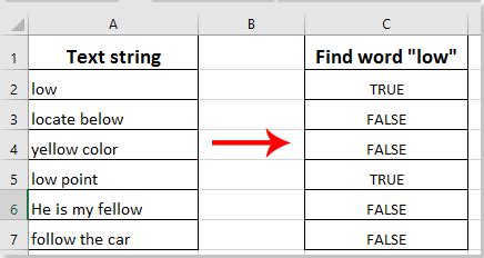 Excel Exact Word Search