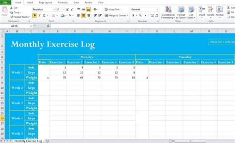 Excel Exercise Log