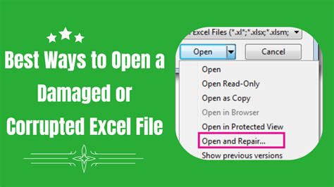 Image of Excel file damage