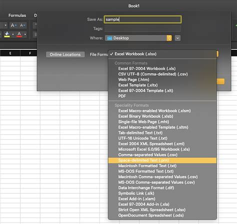 Excel file format image