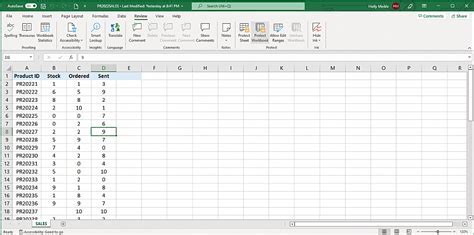 Excel File Lock