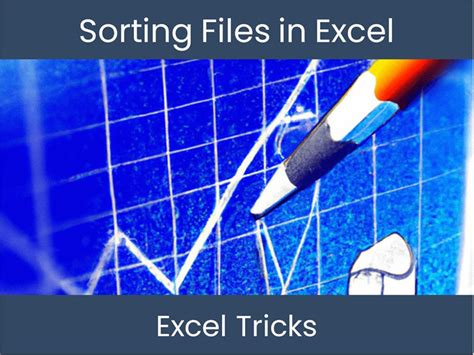 Excel File Organization