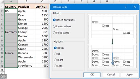 Excel Fill Blanks Gallery 3