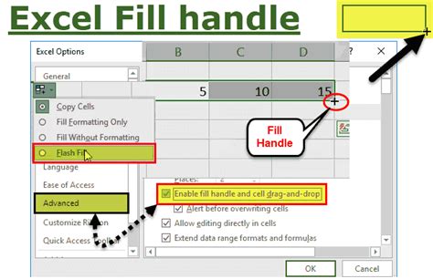 Excel fill handle