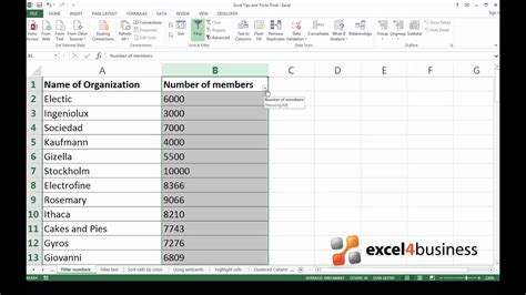 Excel Filter by Number