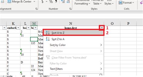 Excel Filter Data Image 3