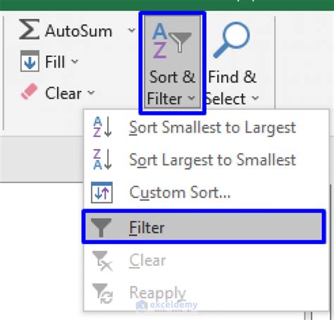 Using the Filter feature in Excel