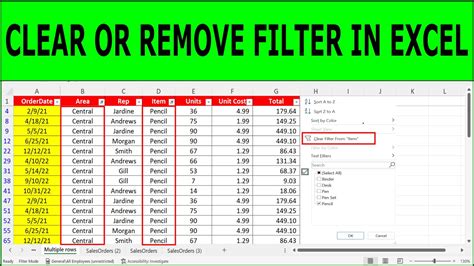 Filter two columns in Excel gallery 1