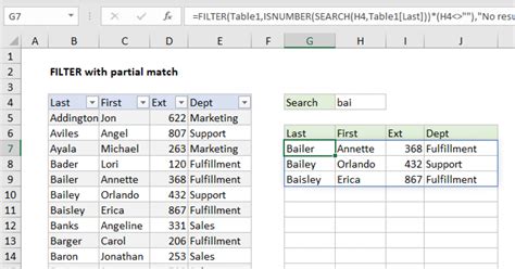 Excel Filter Partial Match