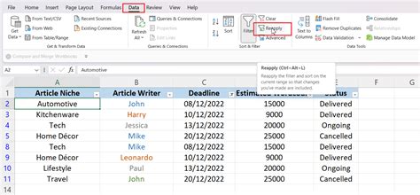 Excel Filter Reapply Option