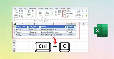 Excel Filtered Data Copy Method 2