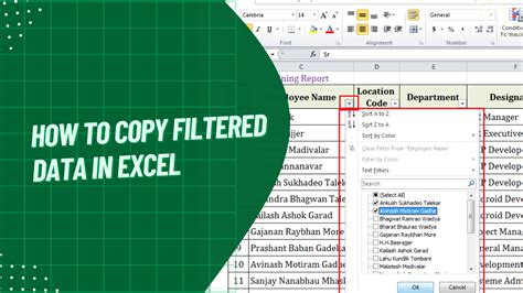 Excel Filtered Data Copy Tips