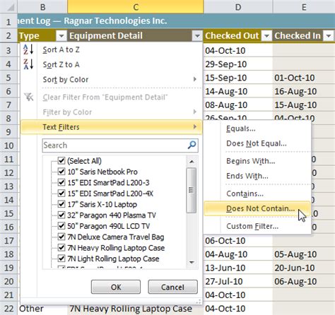 Excel filtering techniques 7