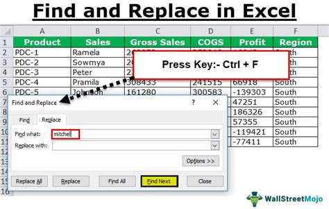 Using the Find and Replace function in Excel