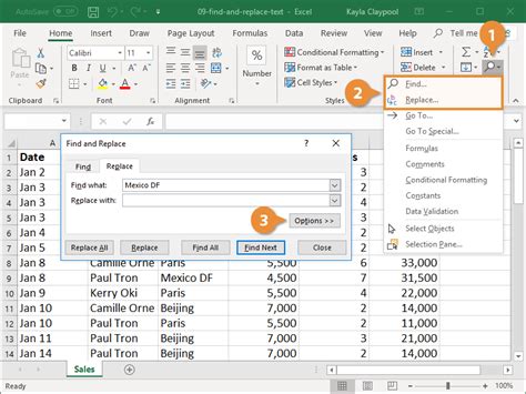 Using the Find and Replace feature in Excel