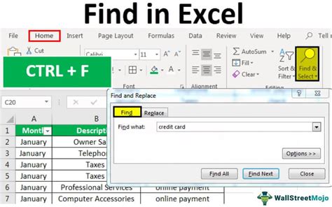 Excel Find and Select Feature