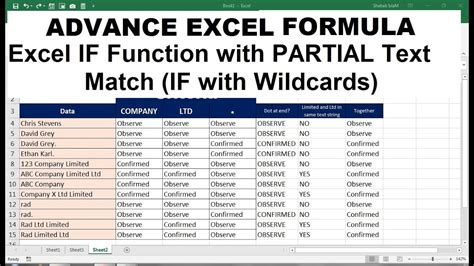 Excel Formula Partial Text