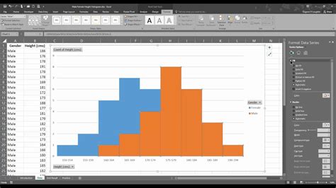 Excel Histogram 2