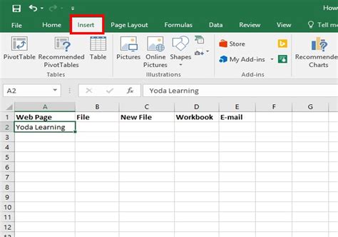 Excel Hyperlink to Website