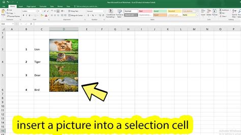 Inserting an Image in Excel