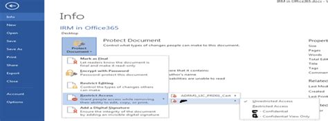 Excel IRM Permissions