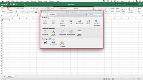 Excel Mac Preferences Issue