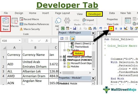 Developer Tab