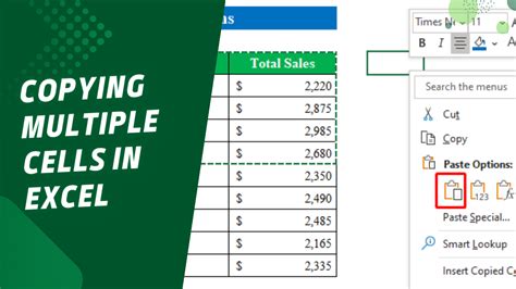 Excel Manual Copying