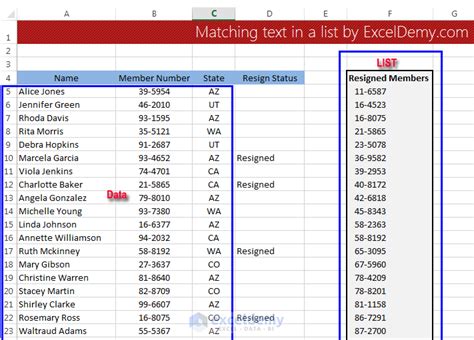 Excel Name Matching Techniques